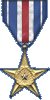 Silver Star 1st Award: Given for 15000 Kills