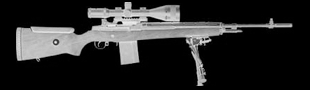 M21 Sniper Rifle