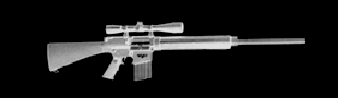 SR-25 Rifle